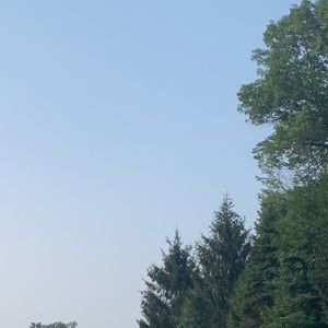 Meet your Posher, Zoe